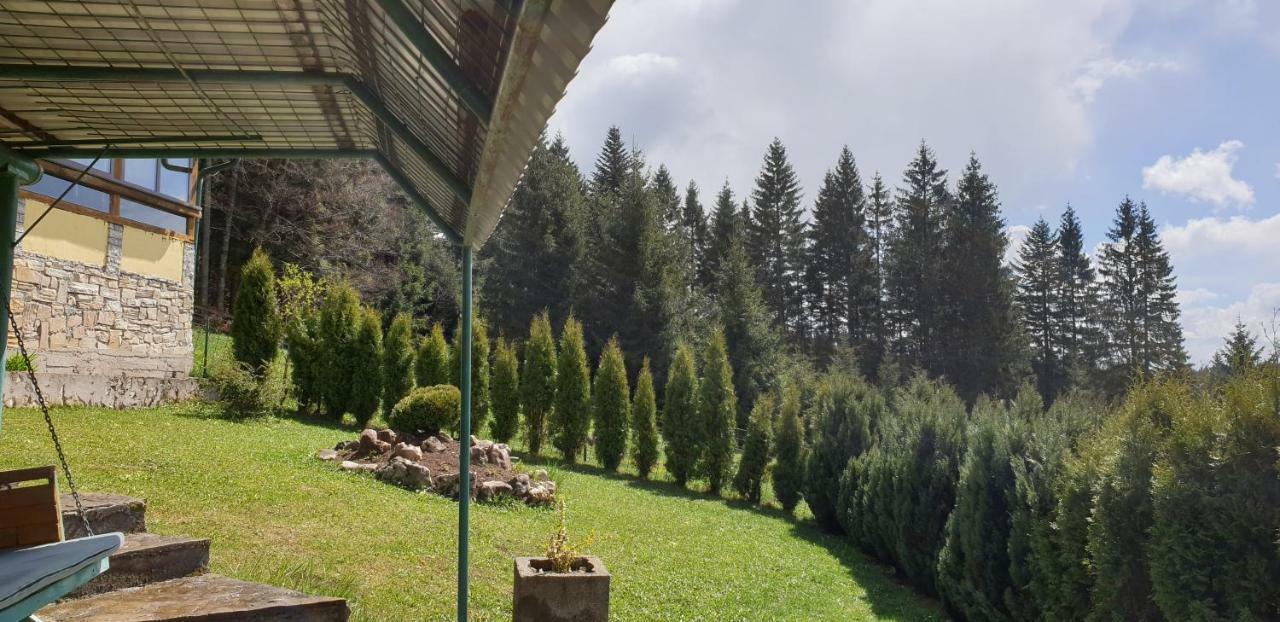 Green Forest Vlasic Exterior foto